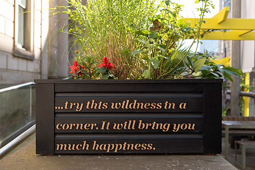 Jarman wooden quotes in garden