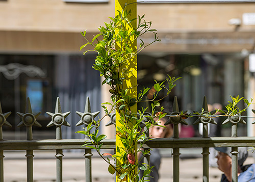 Pocket Park close up