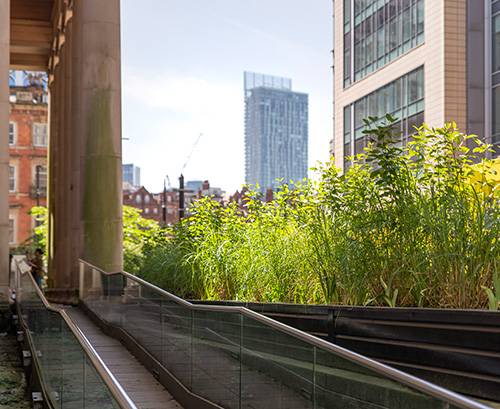 Pocket Park