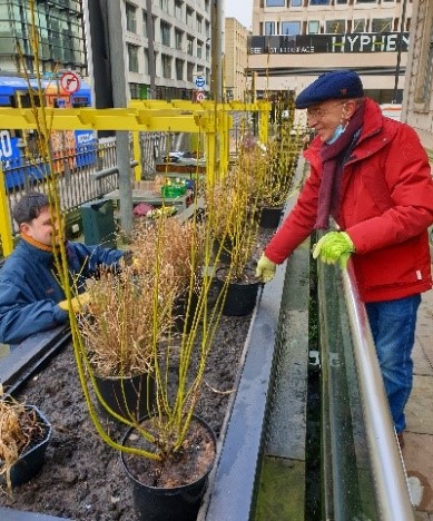 planting begins