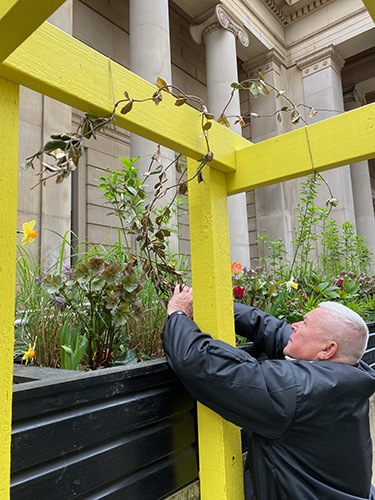 volunteer planting