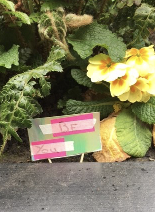 mini placard in flowerbed reading 'be you'